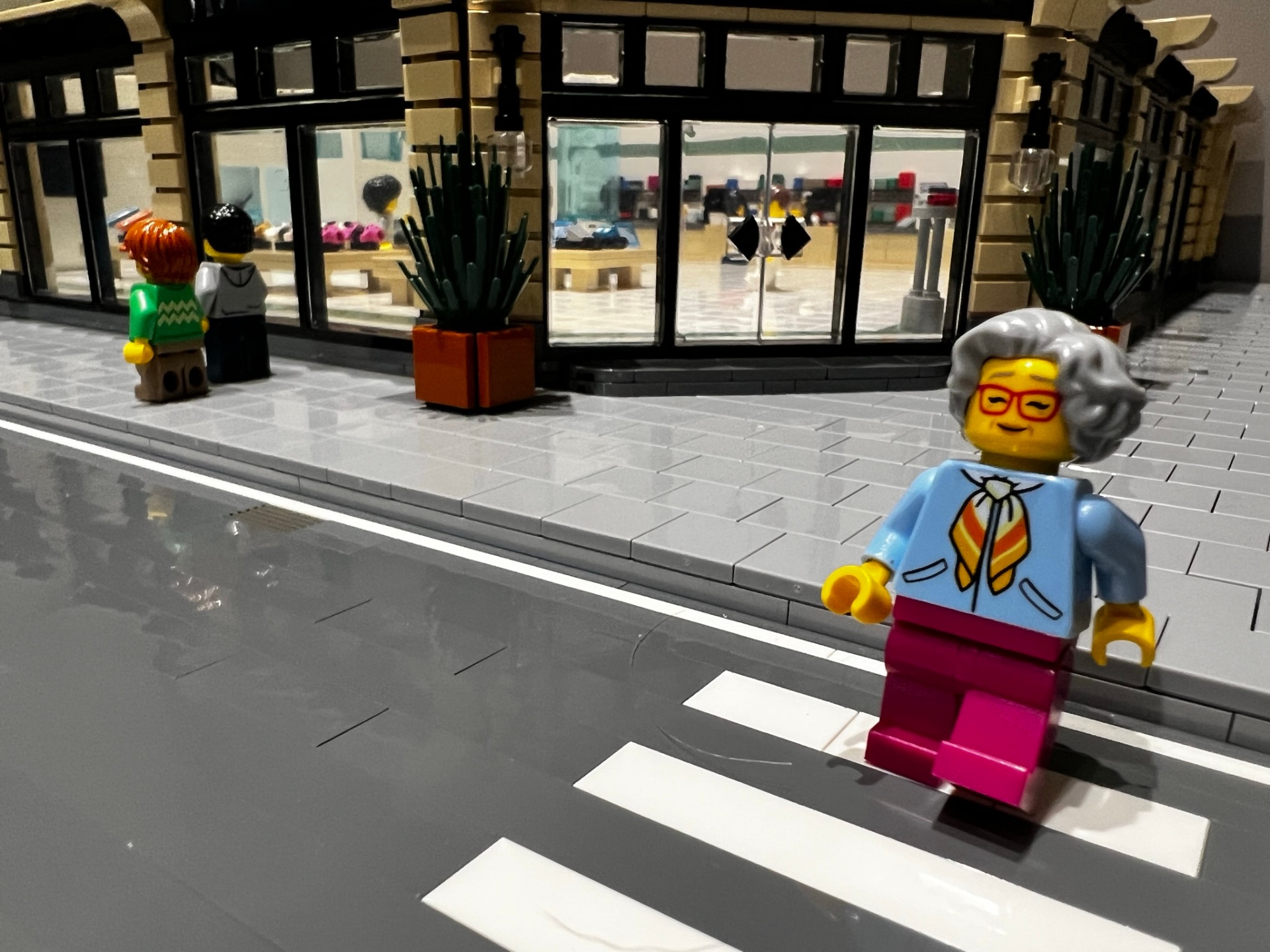 Detailed View of Lego Healthcare Model